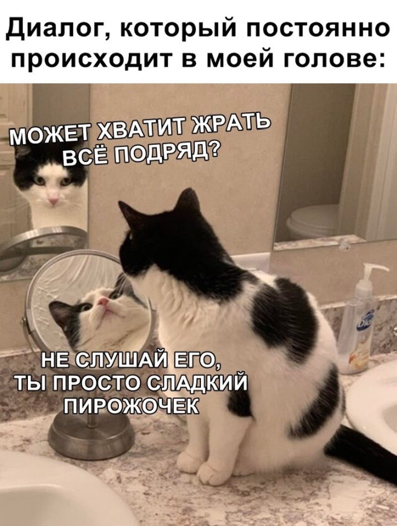 Прикольные картинки
