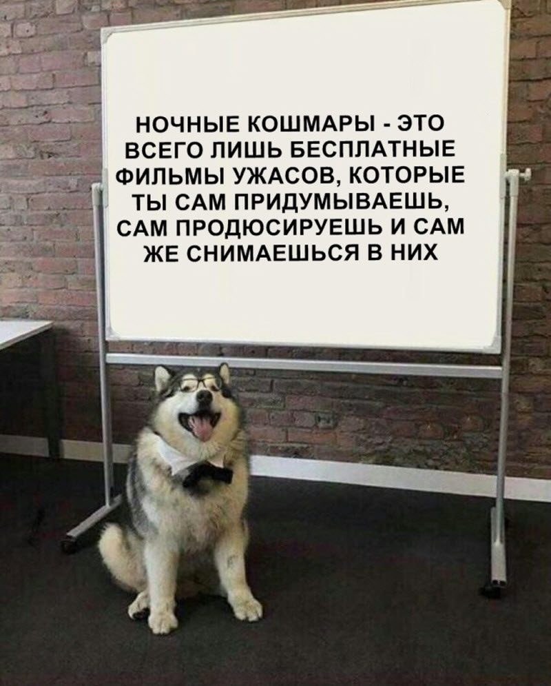 Прикольные картинки
