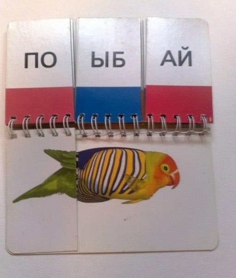 Прикольные картинки
