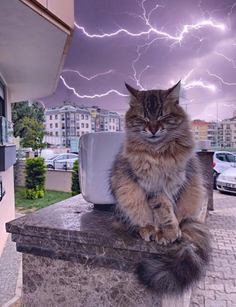 Прикольные картинки
