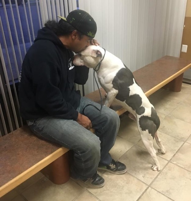 Брошенная собака месяц не могла поверить в то, что хозяева уехали навсегда Брошенная собака месяц не могла поверить в то, что хозяева уехали навсегда