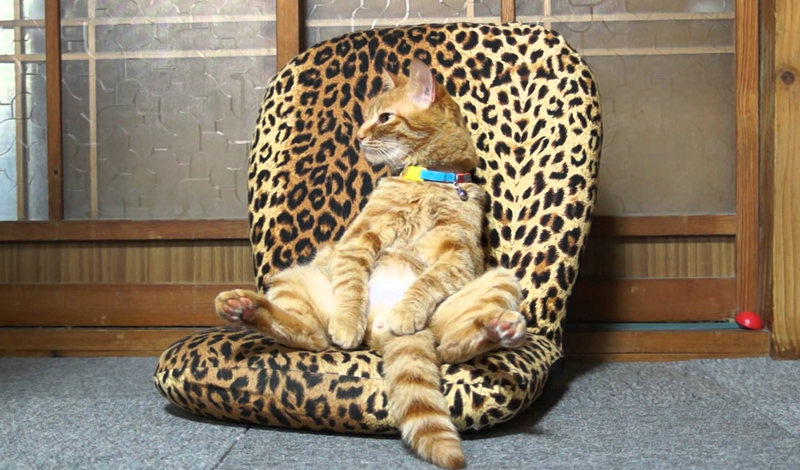 Вещи, которые незаметно подтачивают здоровье Вещи, которые незаметно подтачивают здоровье