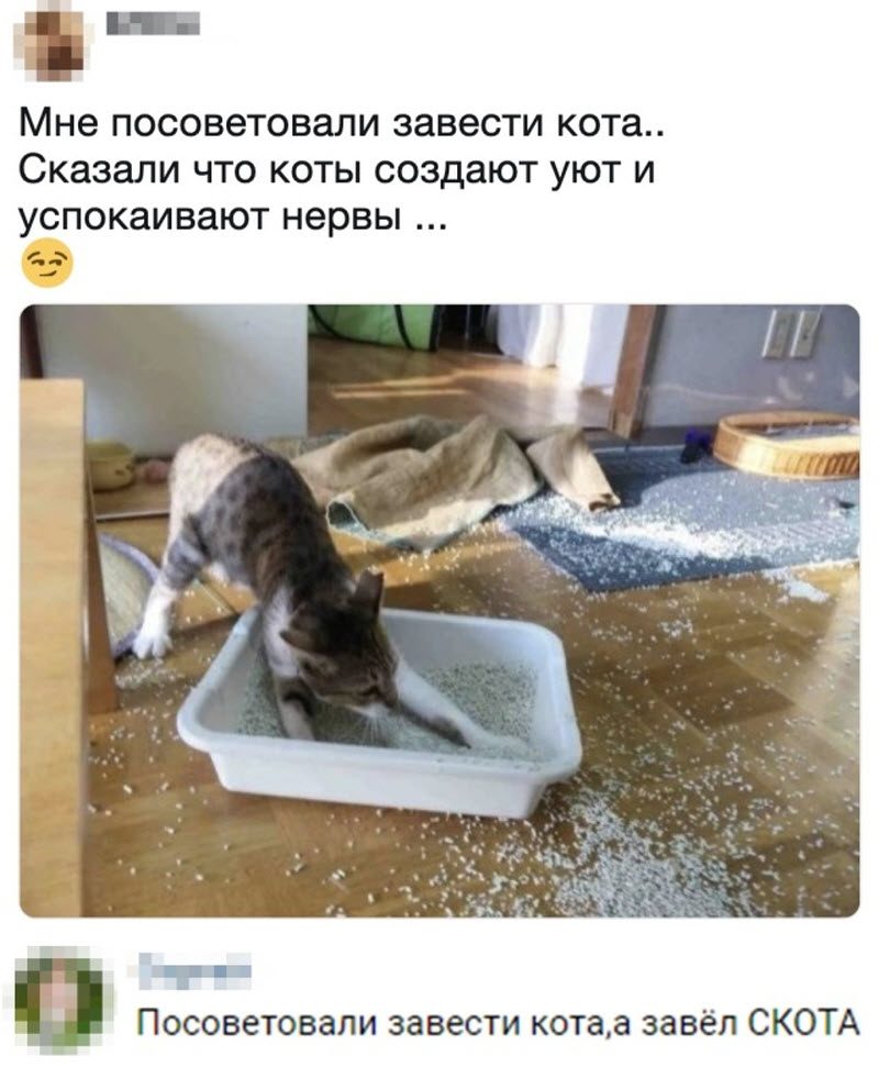 Прикольные картинки