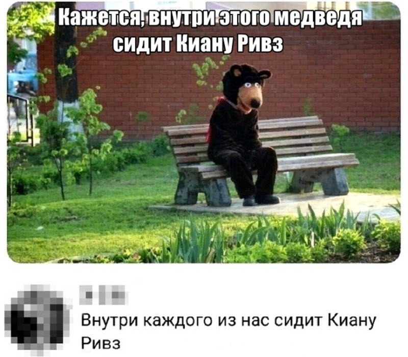 Прикольные картинки