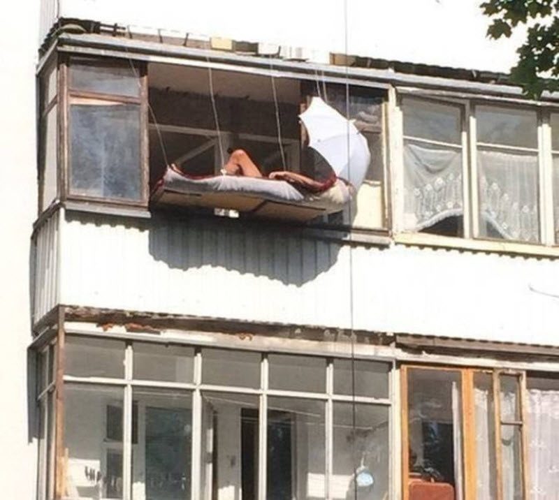 Прикольные картинки