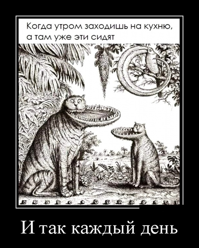 Демотиваторы
