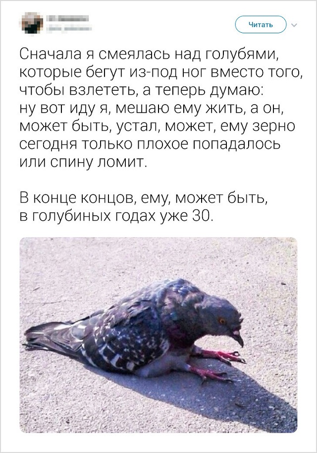 Подборка "симптомов старости" от пользователей социальных сетей