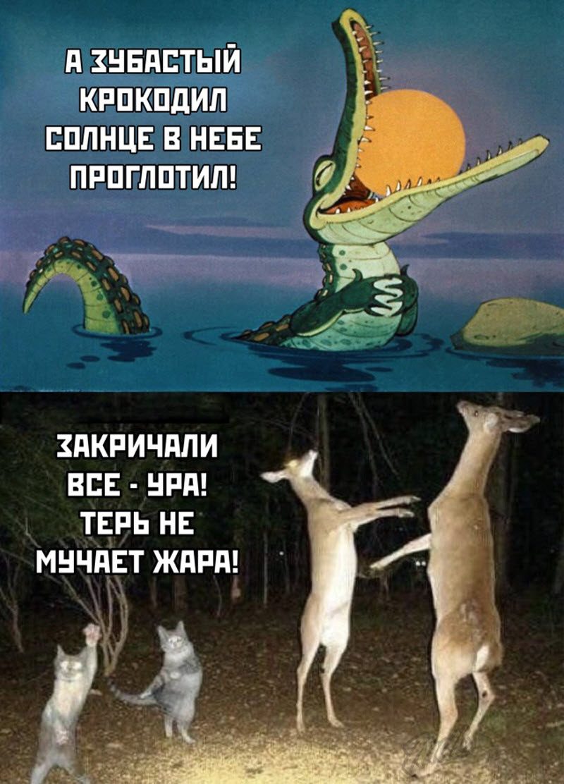 Прикольные картинки