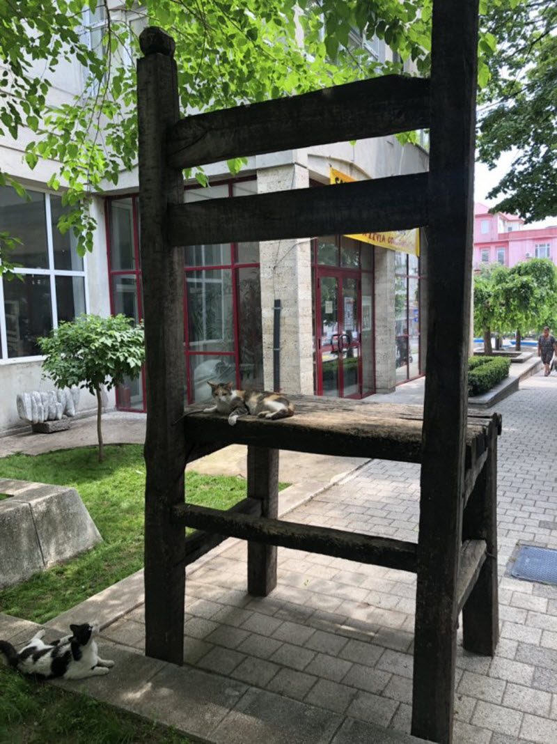 Прикольные картинки