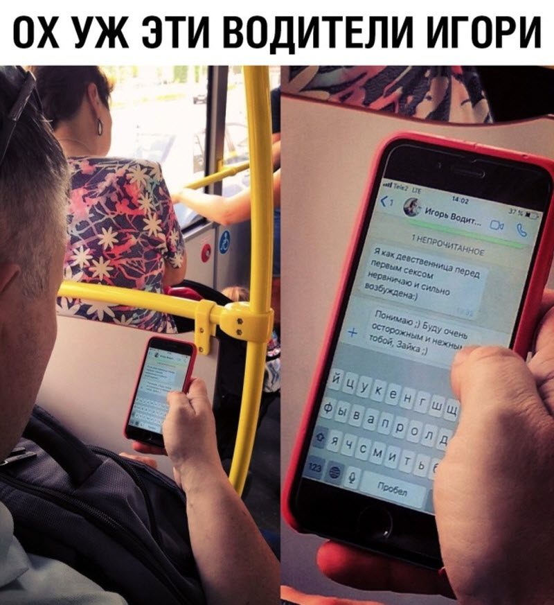 Прикольные картинки