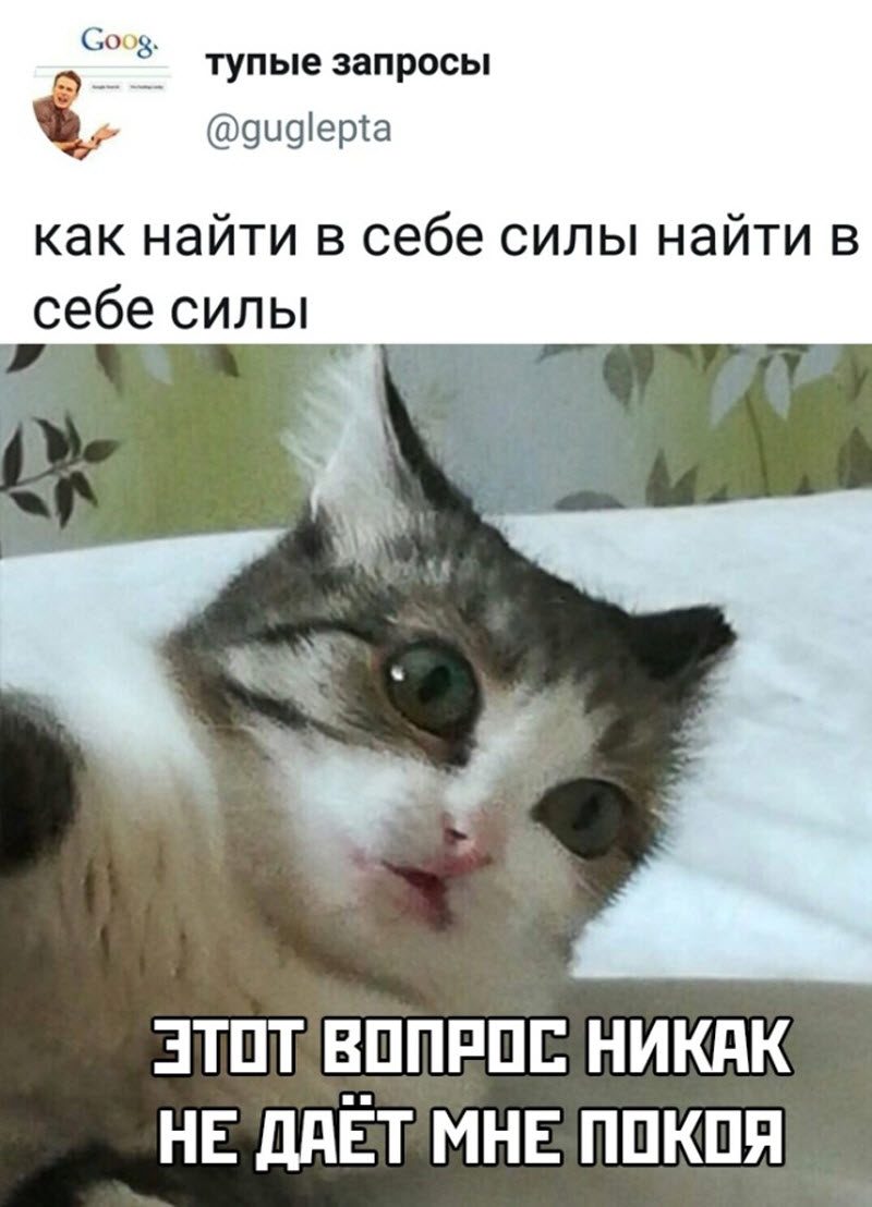 Прикольные картинки