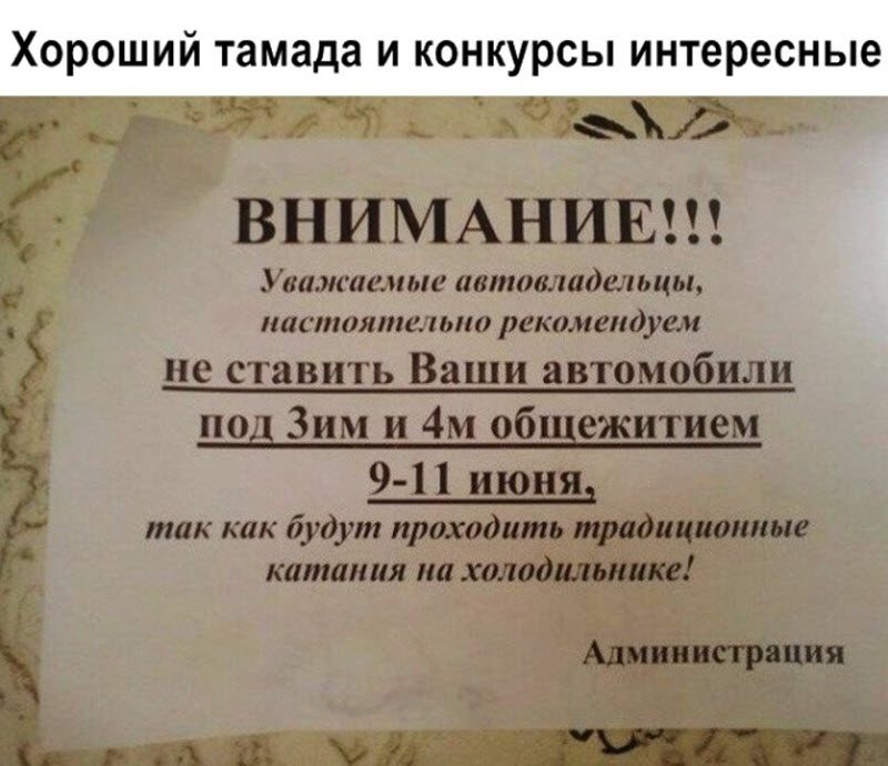 Прикольные картинки