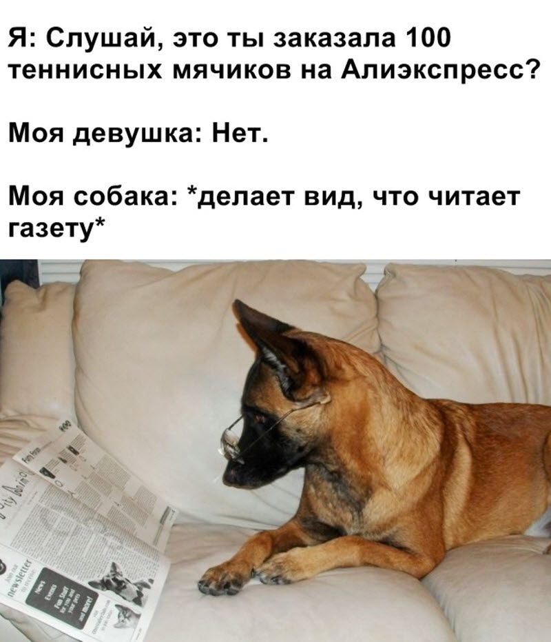 Прикольные картинки