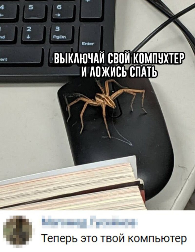 Прикольные картинки