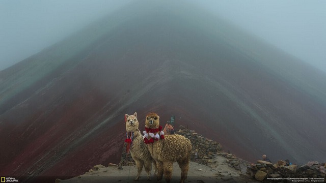 Лучшие трэвел-фотографии 2019 года по версии National Geographic