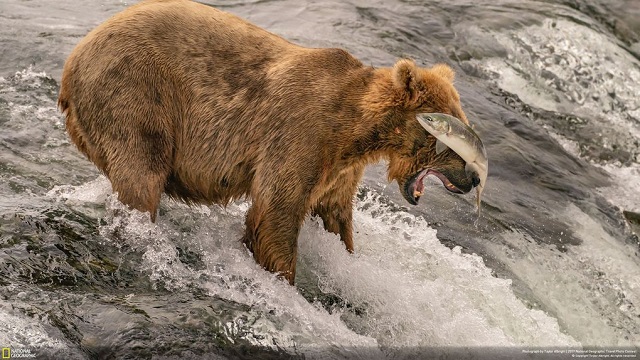 Лучшие трэвел-фотографии 2019 года по версии National Geographic