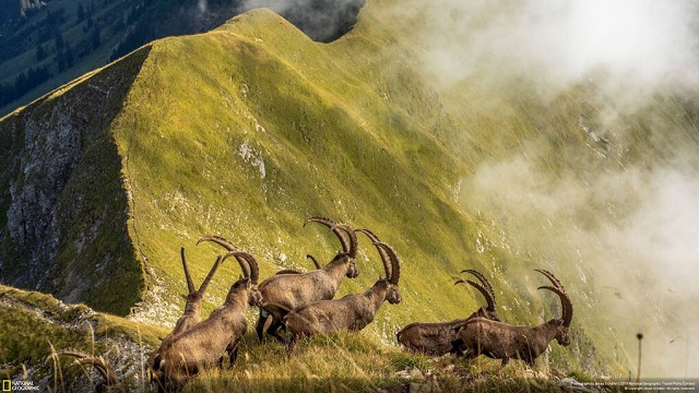 Лучшие трэвел-фотографии 2019 года по версии National Geographic