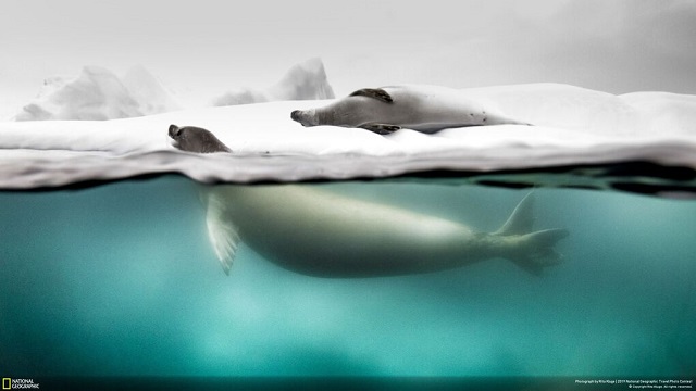 Лучшие трэвел-фотографии 2019 года по версии National Geographic