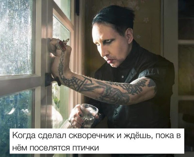 Прикольные картинки