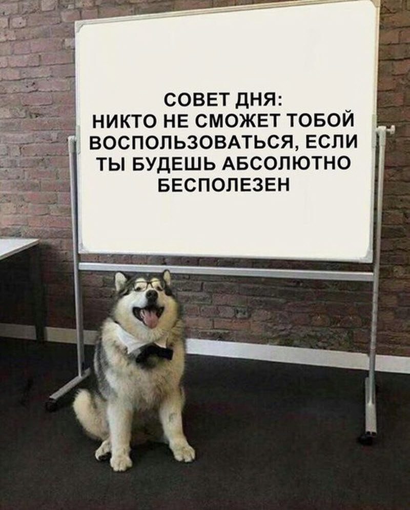 Прикольные картинки
