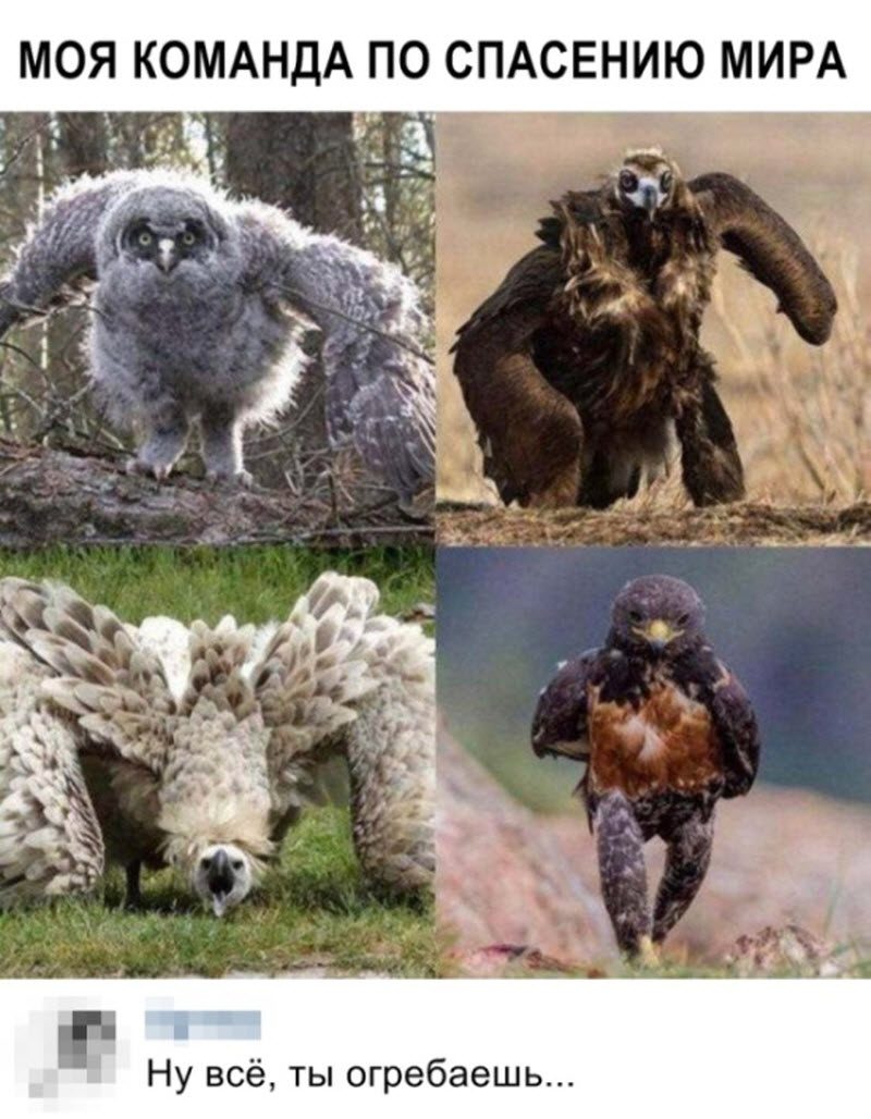Прикольные картинки