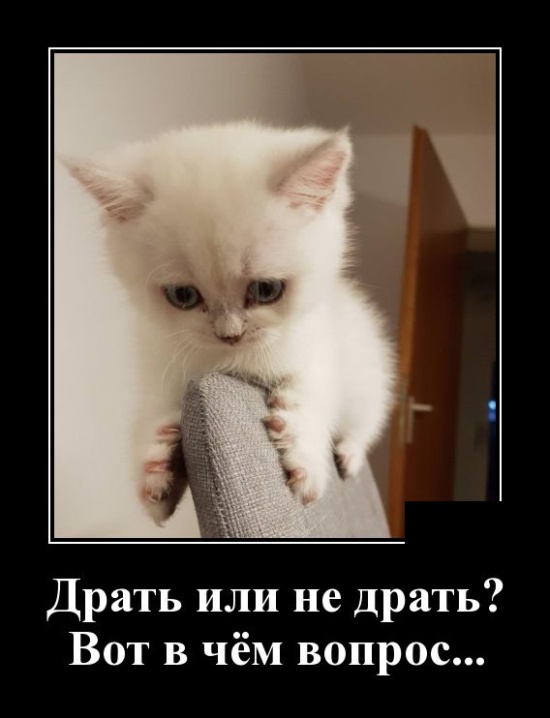 Демотиваторы