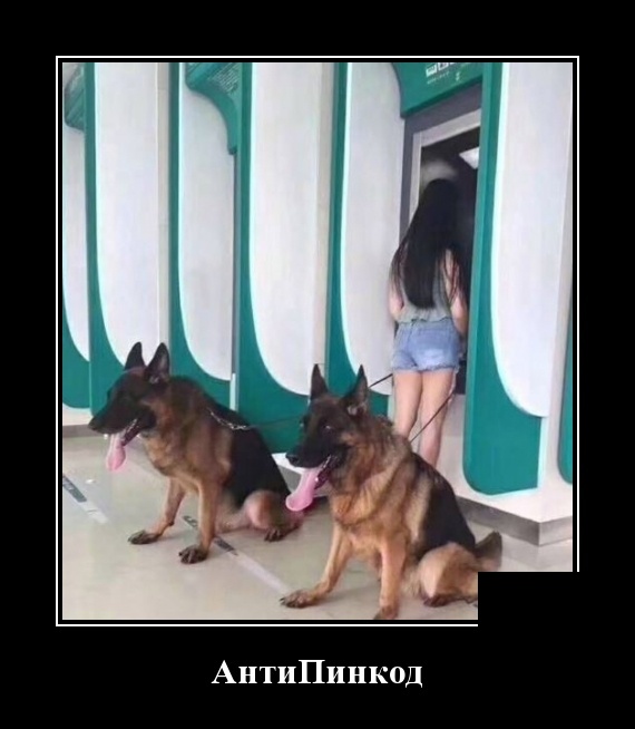 Демотиваторы