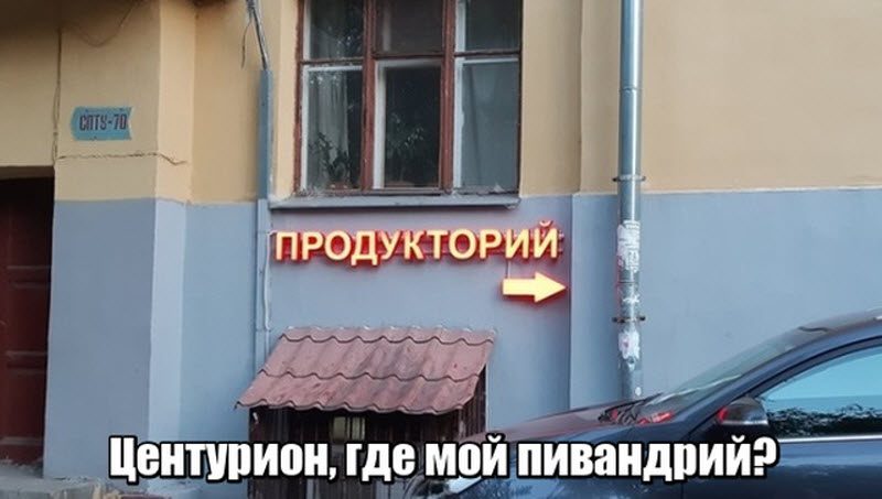 Прикольные картинки