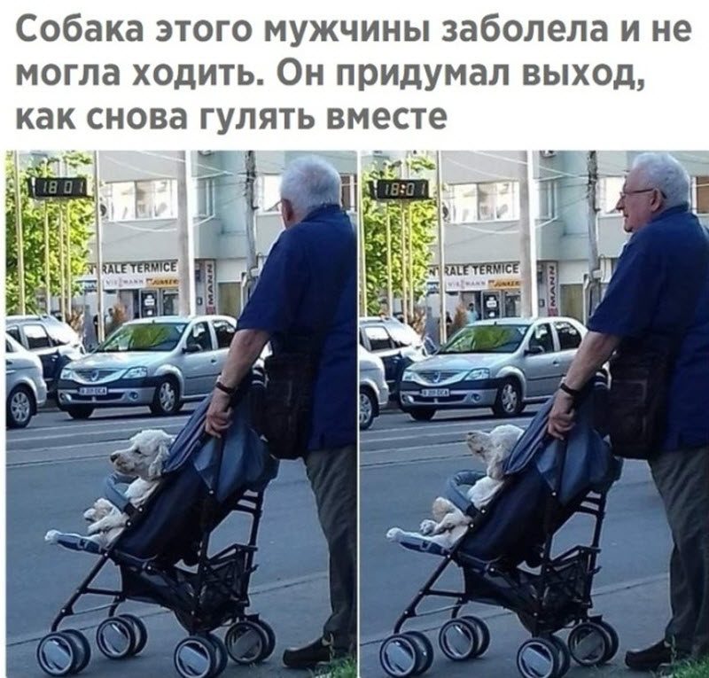 Прикольные картинки