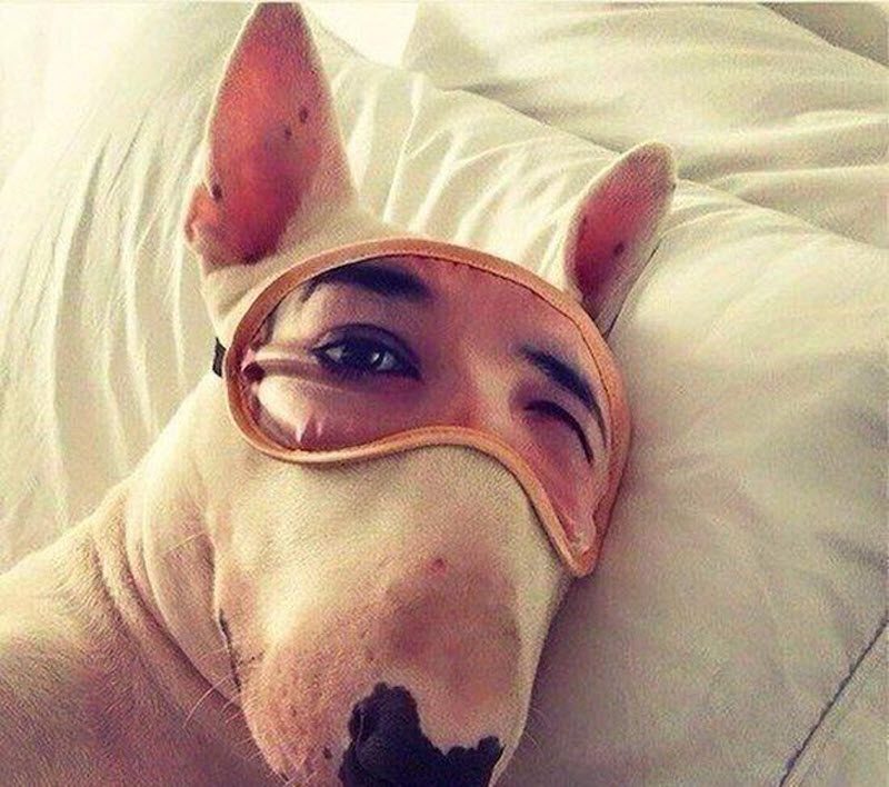 Прикольные картинки