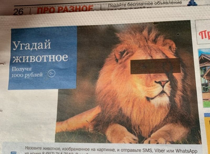 Прикольные картинки