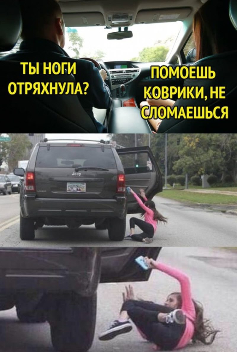 Прикольные картинки