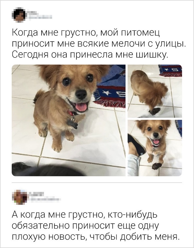 Подборка саркастичных комментов от девушек