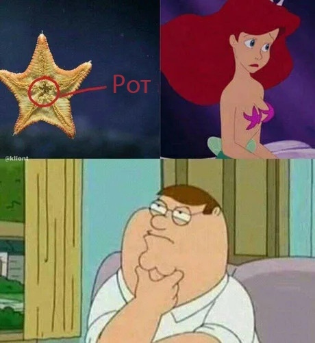 Забавные картинки