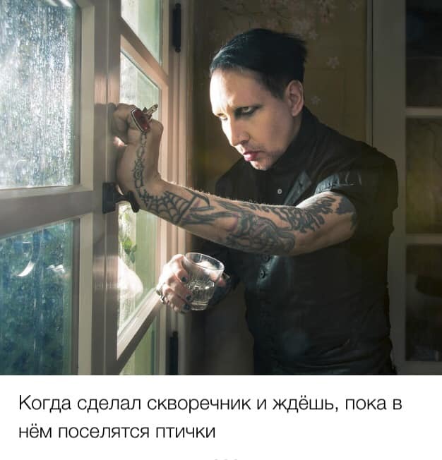 Забавные картинки