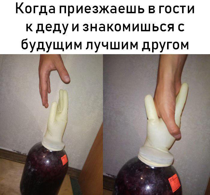 Забавные картинки
