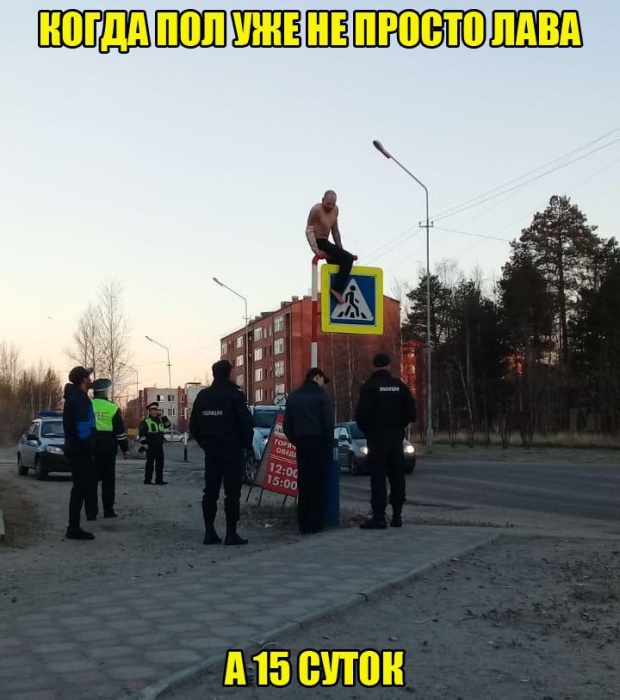 Забавные картинки