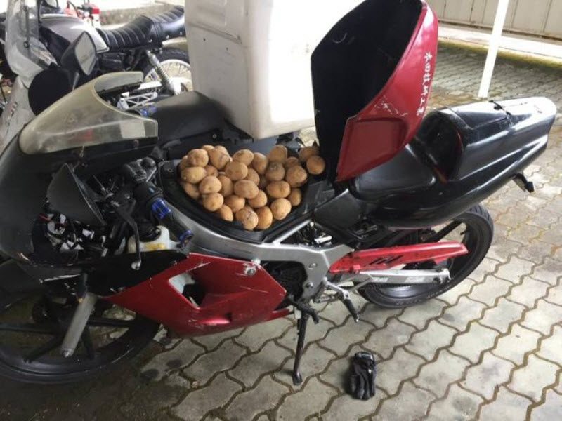 Прикольные картинки