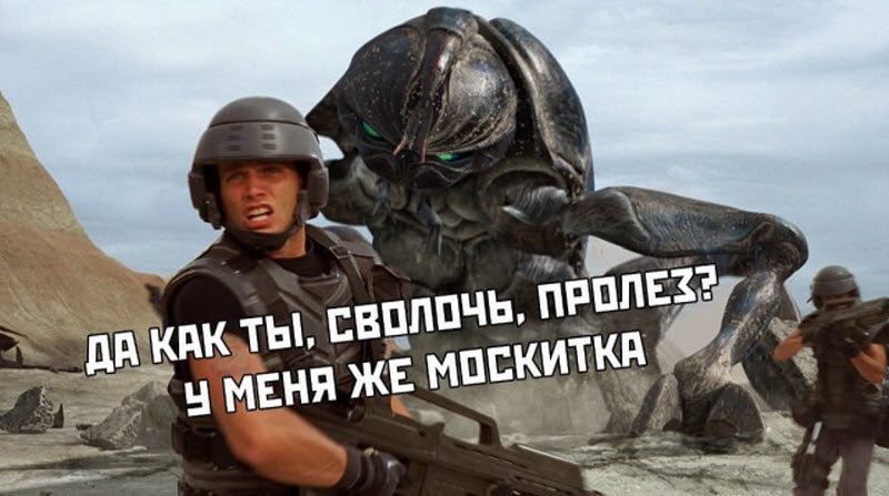 Прикольные картинки