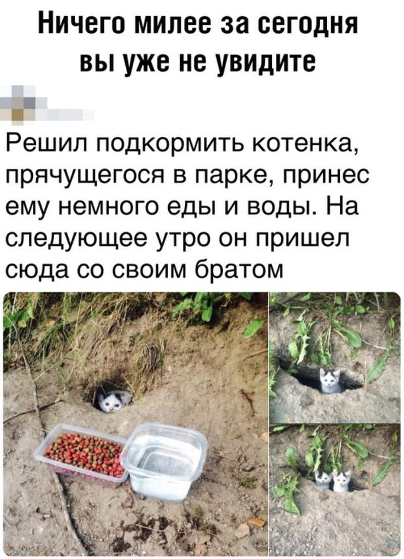 Прикольные картинки