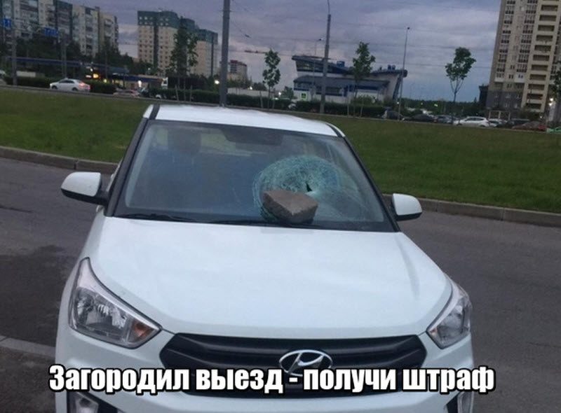 Прикольные картинки