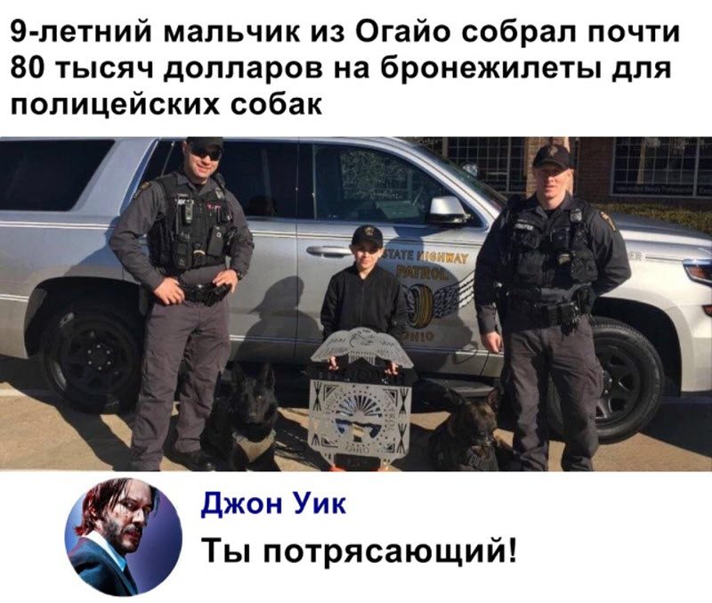 Прикольные картинки