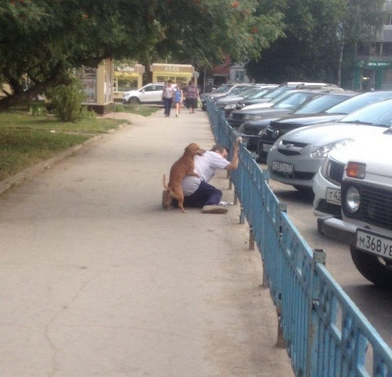 Чудики из социальных сетей