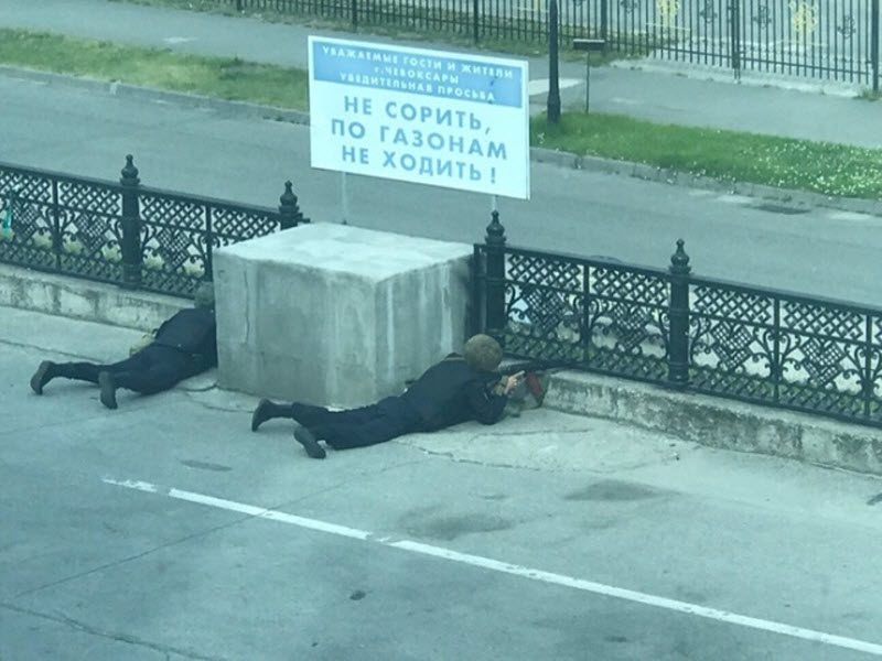 Прикольные картинки