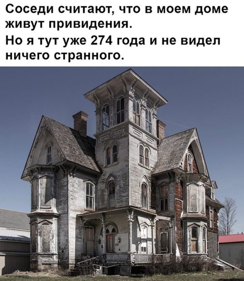 Прикольные картинки