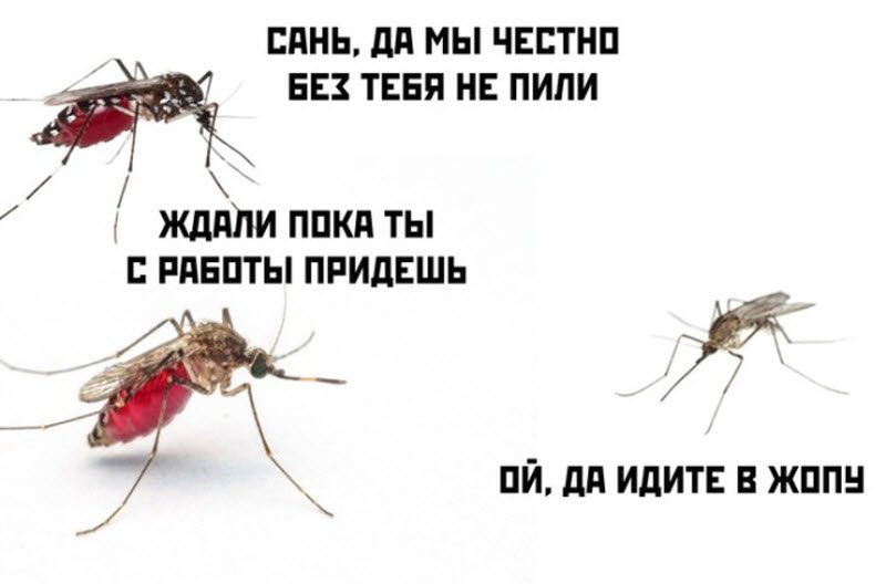 Прикольные картинки
