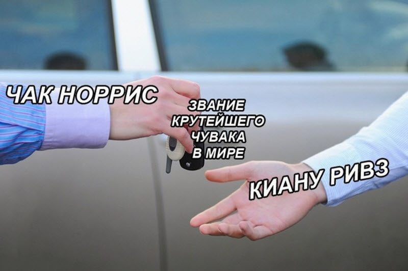 Прикольные картинки