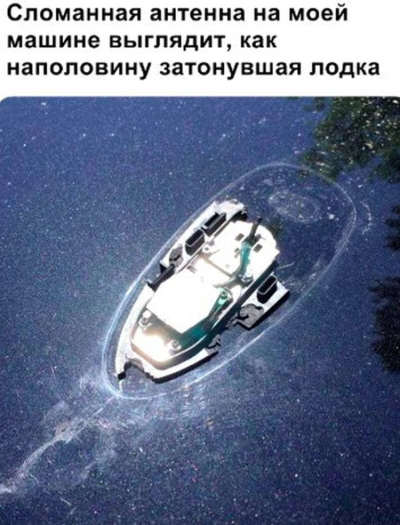 Прикольные картинки