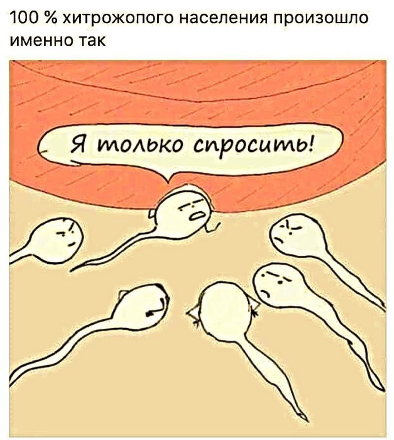 Прикольные картинки