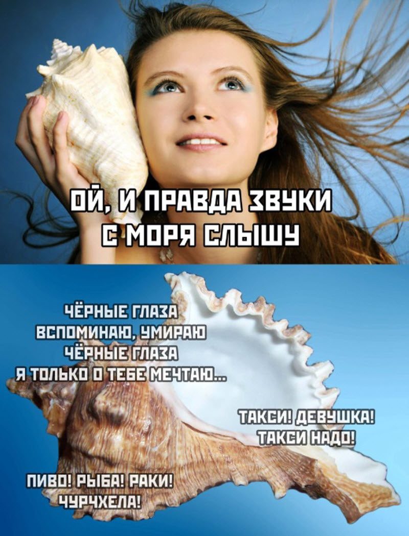 Прикольные картинки